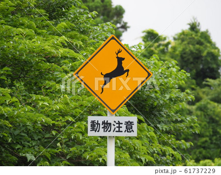 動物飛び出し注意 看板の写真素材