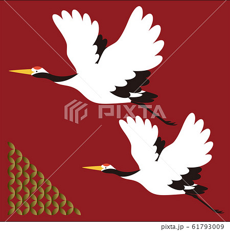 飛んでいる鶴の写真素材