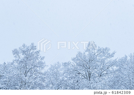 冬イメージの写真素材