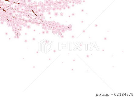 桜 花吹雪 風 舞い散るのイラスト素材