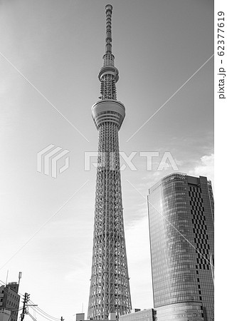 東京スカイツリー 風景 白黒 モノクロームの写真素材