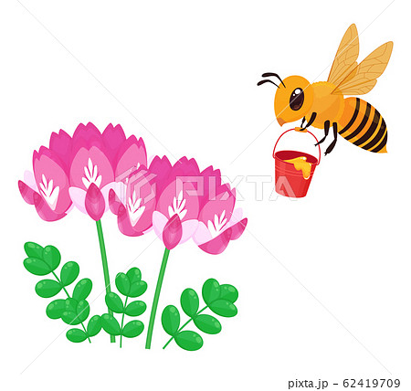 ミツバチ 花 植物 レンゲのイラスト素材