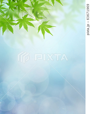 初夏のイラスト素材