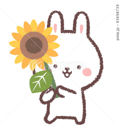 うさぎ ひまわり 夏 手書きのイラスト素材 - PIXTA