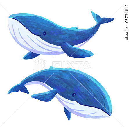 クジラ 鯨 のイラスト素材集 Pixta ピクスタ