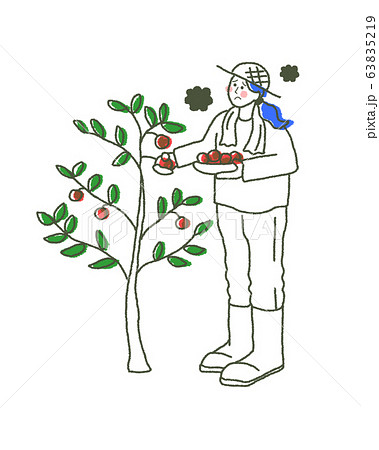 ミニトマト栽培のイラスト素材