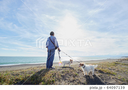 おじいさん 散歩 老人 犬の写真素材