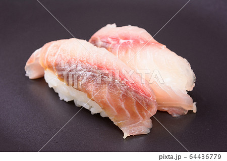 寿司 いさき 料理 和食の写真素材