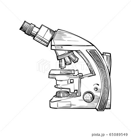 スライドガラスのイラスト素材