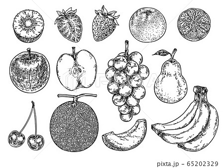 フルーツ 果実 果物 白黒のイラスト素材