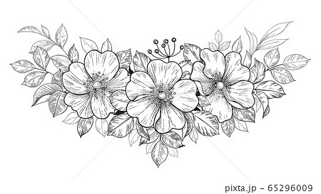 バラ 花 モノクロの写真素材