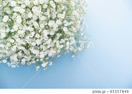 かすみ草の写真素材