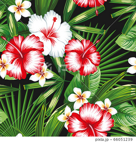 プルメリア イラスト ハワイ 壁紙 パターン 飾り 花柄の写真素材