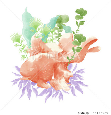 金魚 風流 日本風 葉っぱのイラスト素材