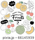 イラスト素材 おしゃれでシンプルなフルーツペン画手書き6 冬の果物のイラスト素材