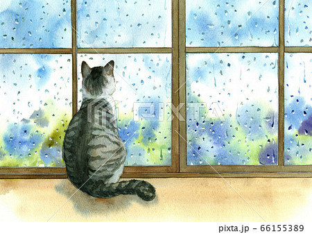 梅雨 イラスト 猫 雨 かわいいの写真素材