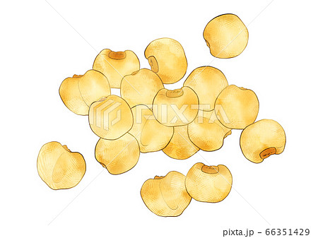 ジャイアントコーンのイラスト素材