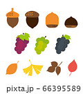 가을의 열매 세트 일러스트 - 스톡일러스트 [54814429] - Pixta