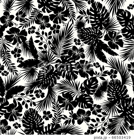 トロピカルリーフのイラスト素材 Pixta