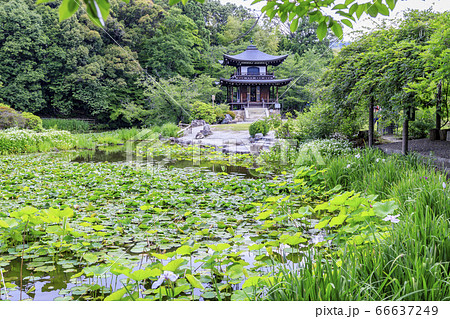 勧修寺灯篭の写真素材 - PIXTA