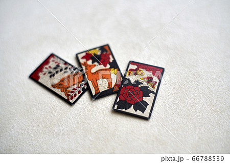 猪鹿蝶 カードゲーム 花かるた 八八花の写真素材