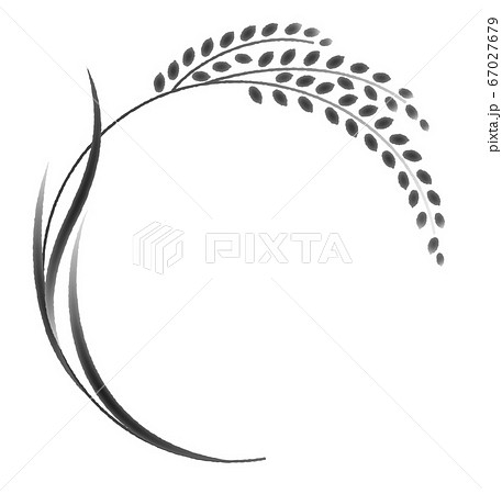 稲穂 稲 米 墨絵のイラスト素材