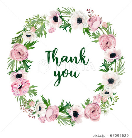 ラナンキュラスのイラスト素材