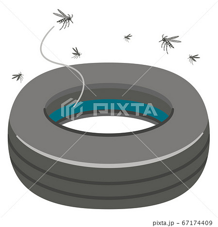蚊のイラスト素材集 ピクスタ