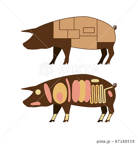 豚肉のイラスト素材集 ピクスタ
