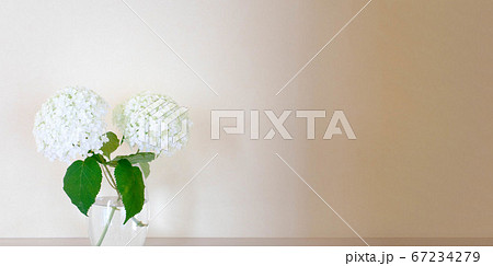 紫陽花 花瓶 切花 明るいの写真素材