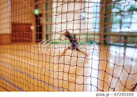 バドミントン ネットの写真素材