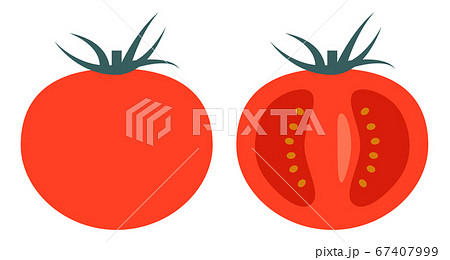 野菜 トマト アイコン 断面のイラスト素材
