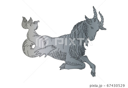 星座 山羊座 イラスト ヤギのイラスト素材
