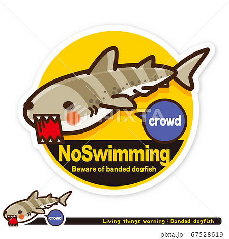 キャラクター 鮫 かわいい イラストの写真素材