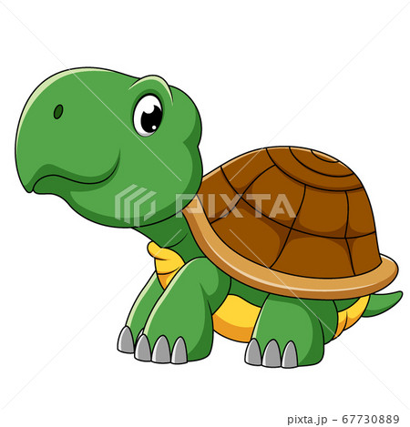 Cute Turtle Cartoon Character Of Illustrationのイラスト素材