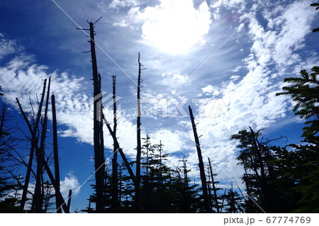 シルエット 八ヶ岳 自然 風景の写真素材