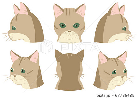 シンガプーラのイラスト素材 - PIXTA