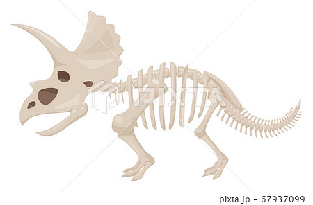 恐竜骨格のイラスト素材
