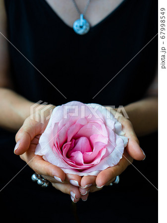 バラ 花 持つ 手の写真素材