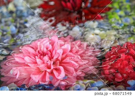 花手水の写真素材