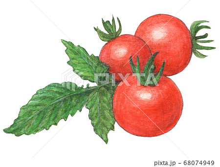 トマトのイラスト素材集 ピクスタ