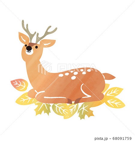 シカ 水彩画 動物 鹿のイラスト素材
