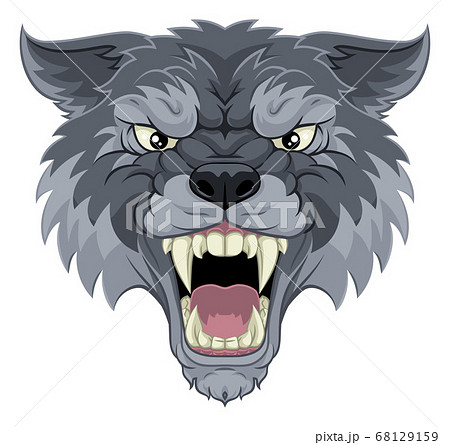 オオカミの正面顔 狼のイラスト素材