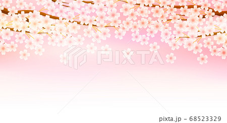 桜　春　花　背景