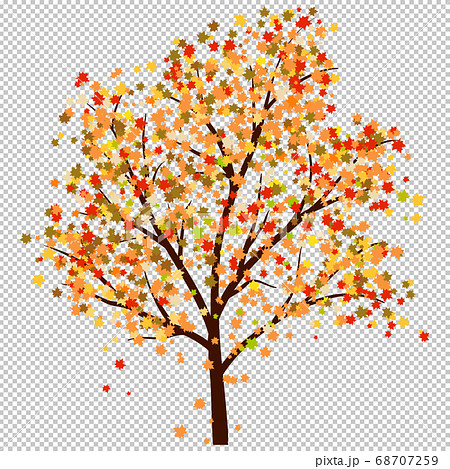 秋 木 樹木 紅葉のイラスト素材 Pixta