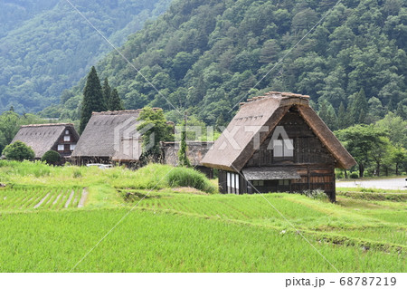 合掌造り 白川郷 長野県 集落の写真素材