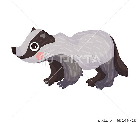 アナグマ かわいいの写真素材