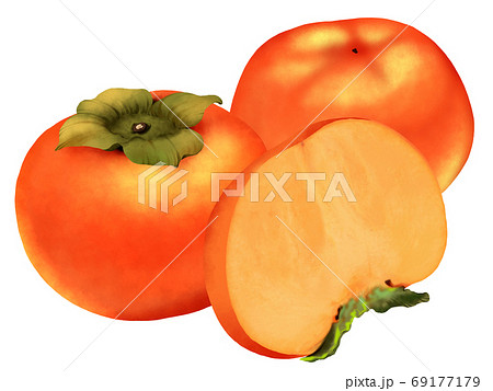 果実 かき 果物 柿のイラスト素材