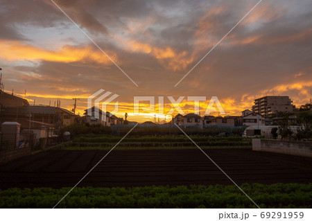 切ない 夏 美しい 夕焼けの写真素材