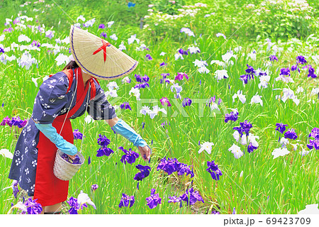 花がら摘み娘の写真素材 花がら摘み娘の写真素材